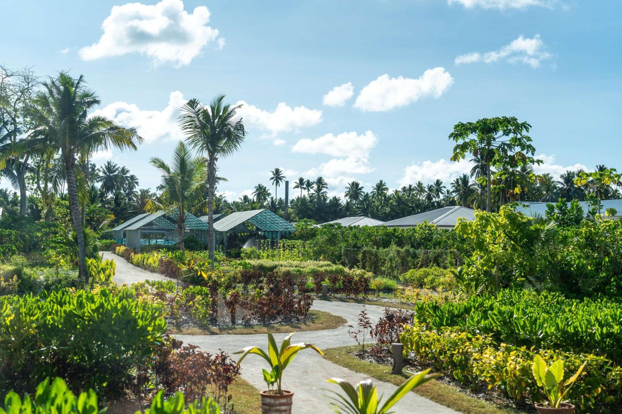 Waldorf Astoria Seychelles Platte Island Hotel Buitenkant foto